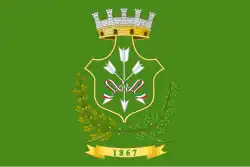 Drapeau de Saviano