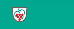 Drapeau de Semič