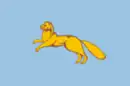 Drapeau de Chadrinsk