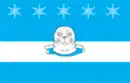 Drapeau de Snejnogorsk
