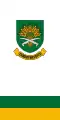 Drapeau de Somogymeggyes