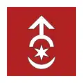 Drapeau de Starokostiantyniv