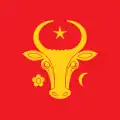 Drapeau proposé par le président Igor Dodon en 2017–2018