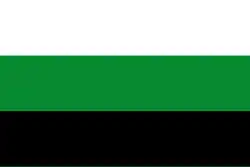 Drapeau de Stochov