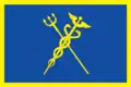 Drapeau du district