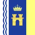Drapeau de Stryï