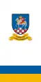 Drapeau de Tótszentmárton