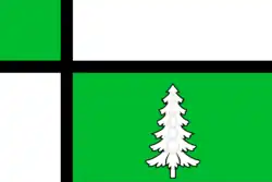 Drapeau de Taïchet