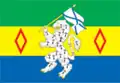Drapeau du district