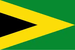 Drapeau de Tibú