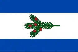 Drapeau de Tisá