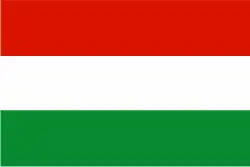 Drapeau de Tona