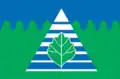 Drapeau du district