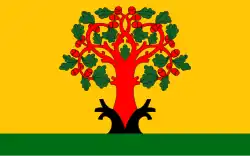 Drapeau de Tsivilsk