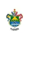 Drapeau de Tuzsér