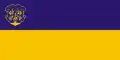 Drapeau de Oujhorod