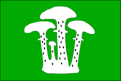 Drapeau de Václavy