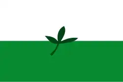 Flag of the Department of Vaupés