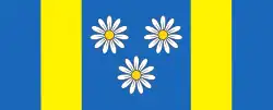 Drapeau de Velika Polana