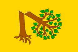 Drapeau de Velká Polom
