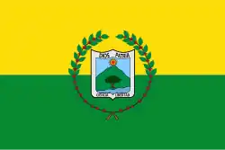 Drapeau de Vergara