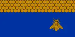 Drapeau de Viļāni