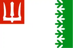 Drapeau de Raïon de Volkhov