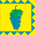 Drapeau de Vynnyky