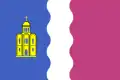Drapeau de Raïon de Vychhorod