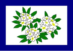 Drapeau de la Virginie occidentale de 1905 à 1907