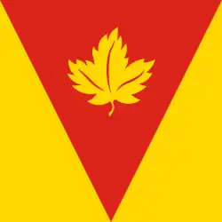 Drapeau de Iavoriv