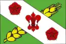 Drapeau de Zelenokoumsk
