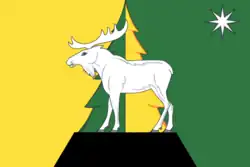 Drapeau de Jeleznogorsk-Ilimski