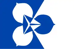 Drapeau de Zvole