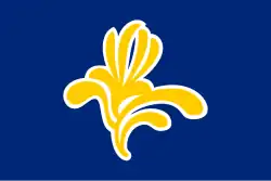 Drapeau de la Région de Bruxelles-Capitale