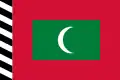 1954-1965