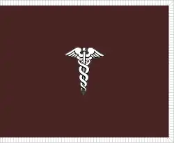 Image illustrative de l’article Surgeon General of the United States Army