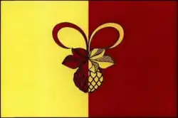Drapeau de Ipatovo