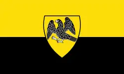 Drapeau de Laer