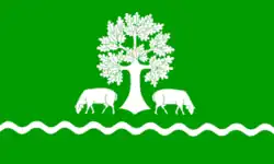 Drapeau de Schafstedt