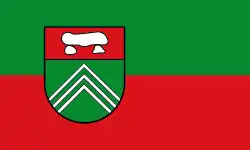 Drapeau de Thuine