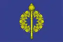 Drapeau de Frolovo
