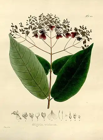 Description de cette image, également commentée ci-après