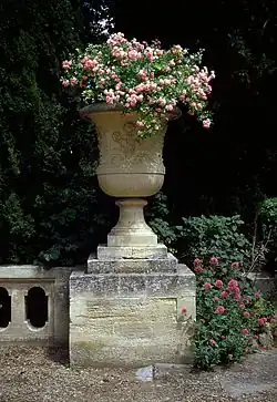 Fleurs dans un « vase Médicis ».