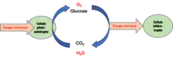 flux