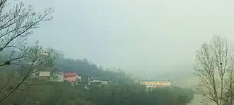 Paunci