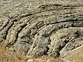 Alternance de schistes et quartzites à la pointe du Bindy.