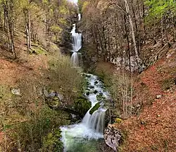 Cascade en gros plan.