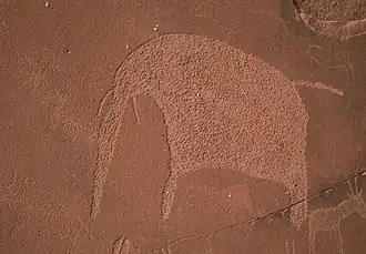 Éléphant