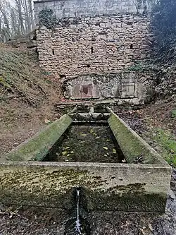 Fontaine Margot